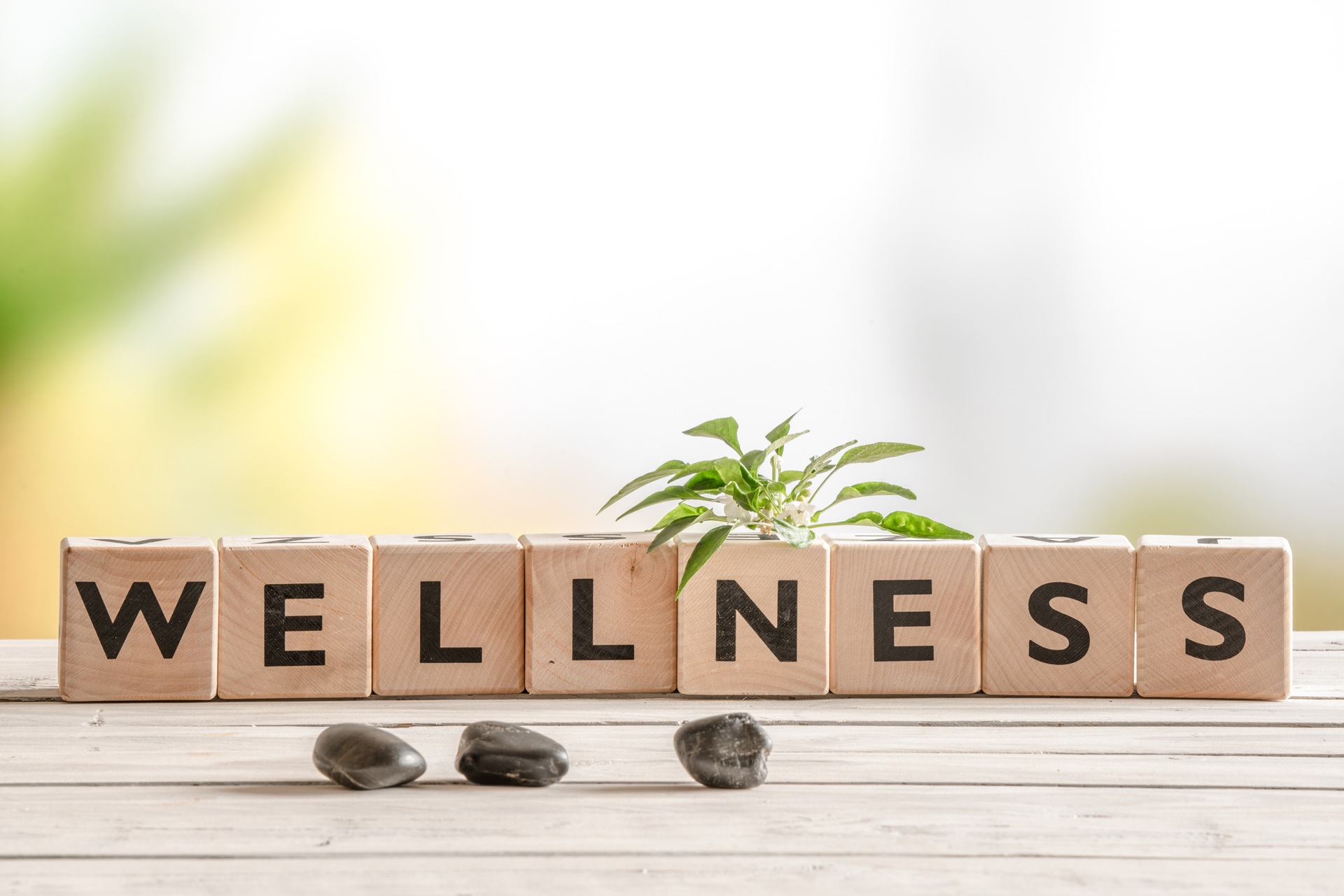 Holzschriftzug Wellness auf Tisch | Heilerde